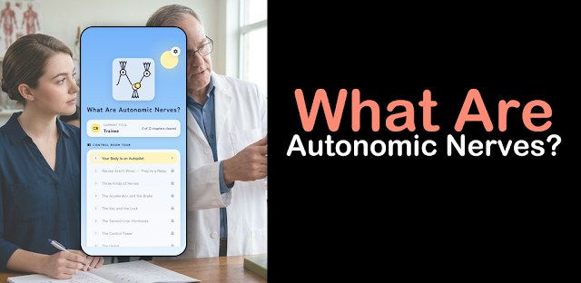 What Are Autonomic Nerves? feature graphic